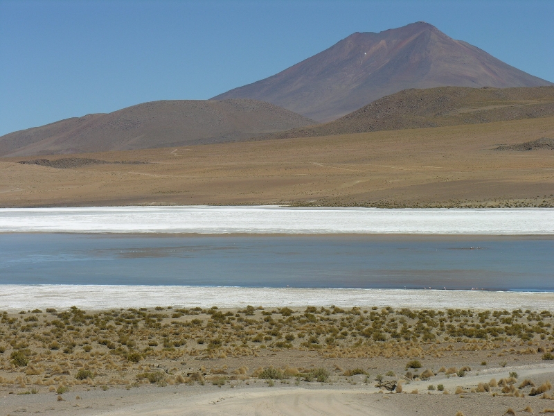 654.hedionda