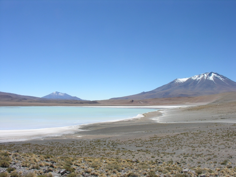 682.hedionda