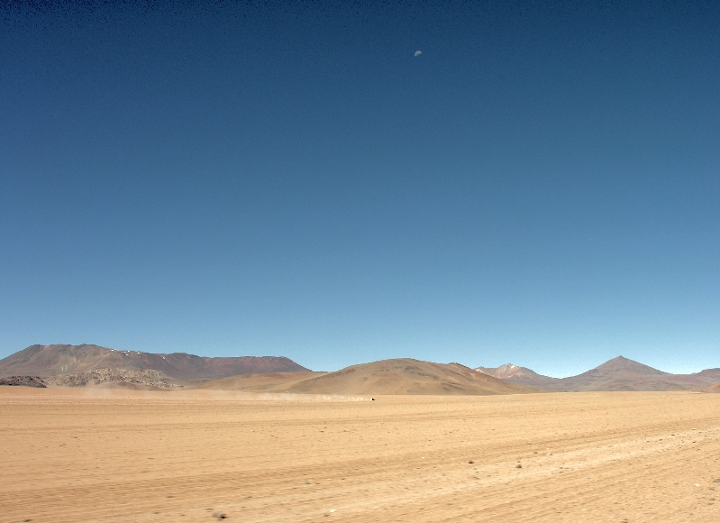 689.dali desert
