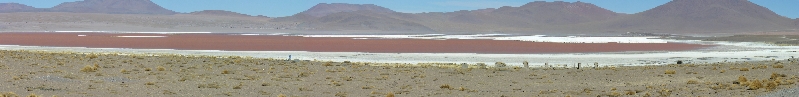 700.laguna colorada