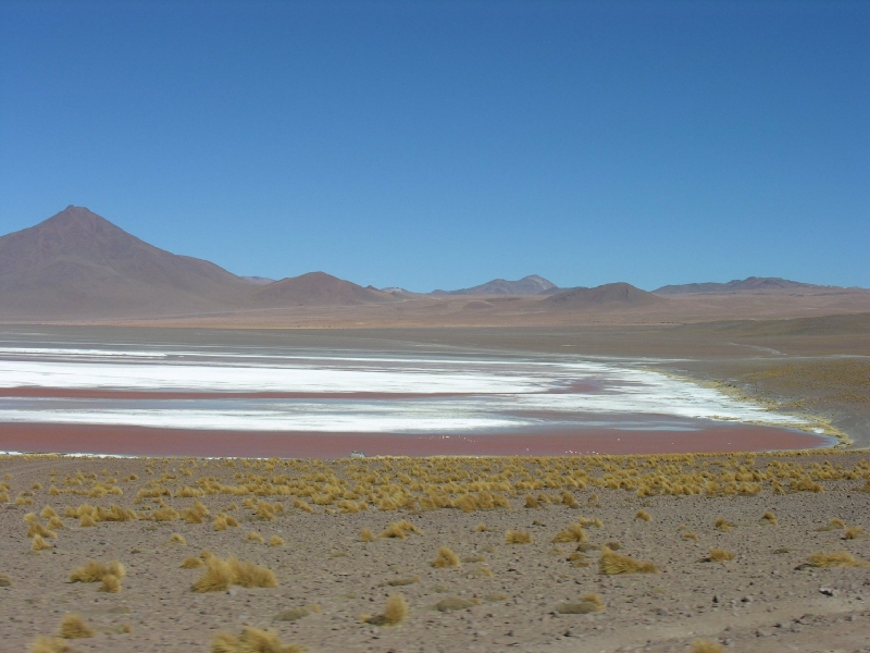 703.laguna colorada
