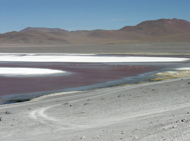 704.laguna colorada