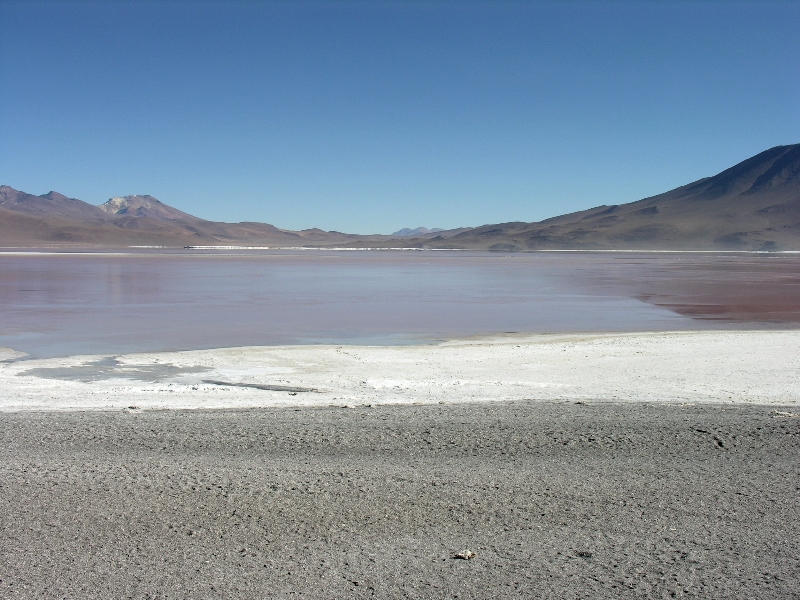 731.laguna colorada