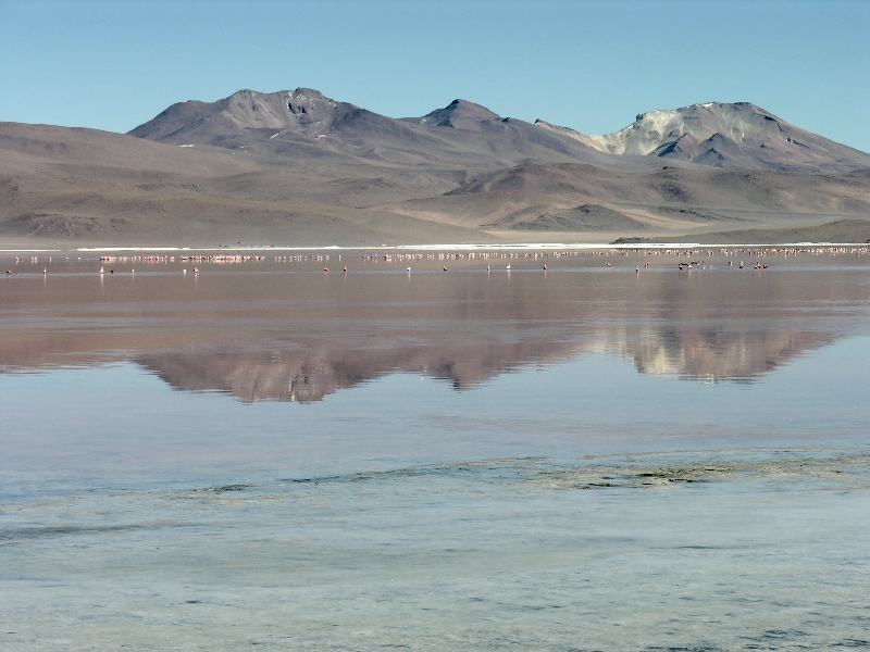 747.reflections