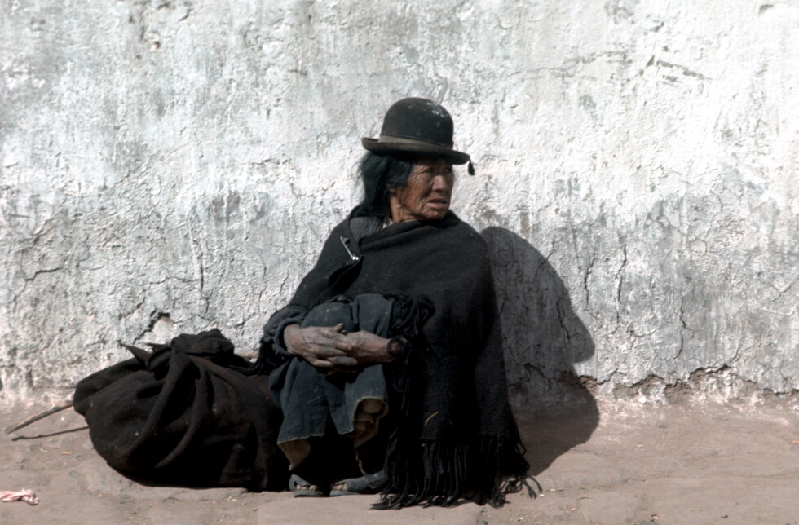 bolivian begg4r4