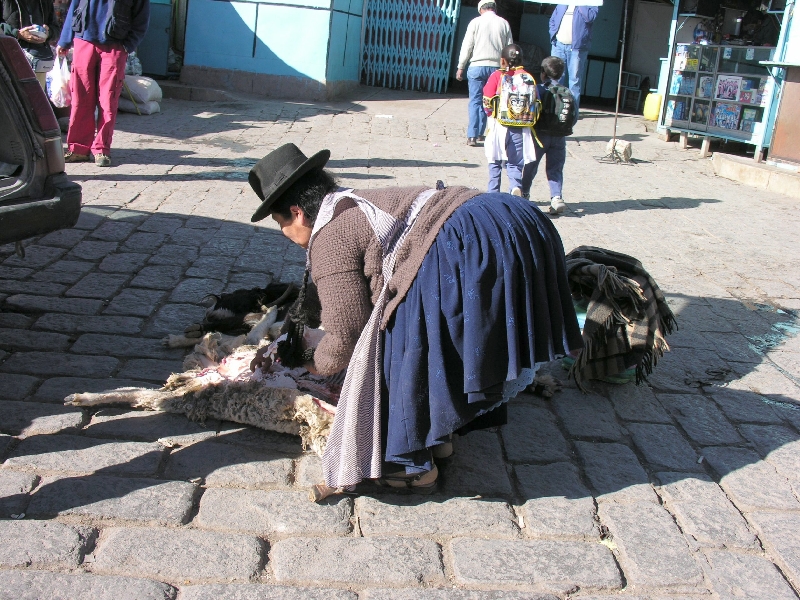 391.woman goat