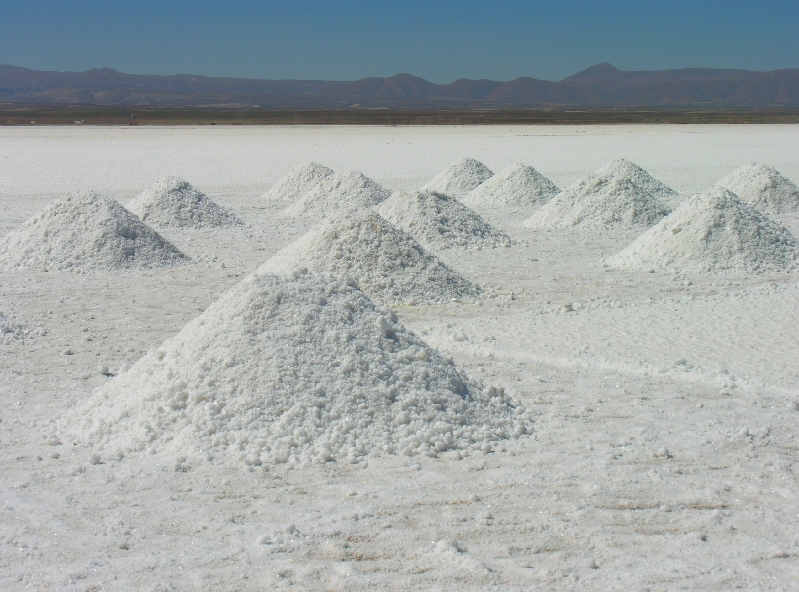 468.salar