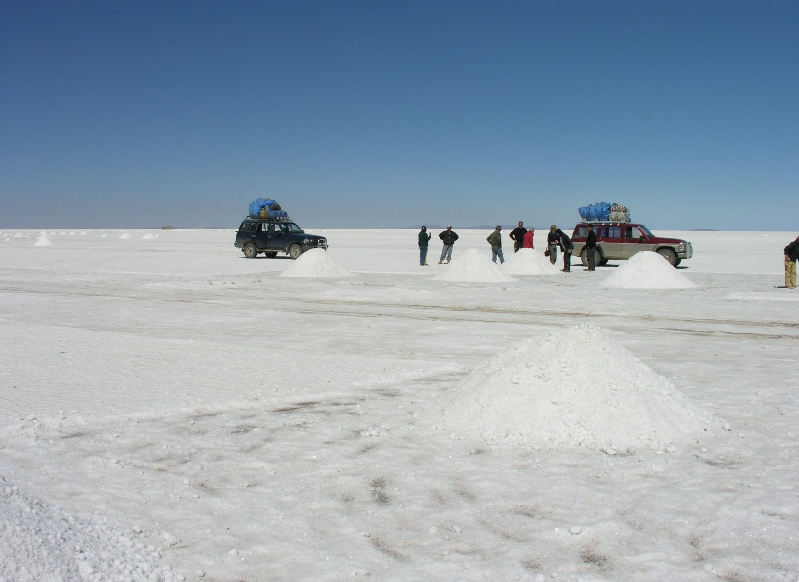 473.salar
