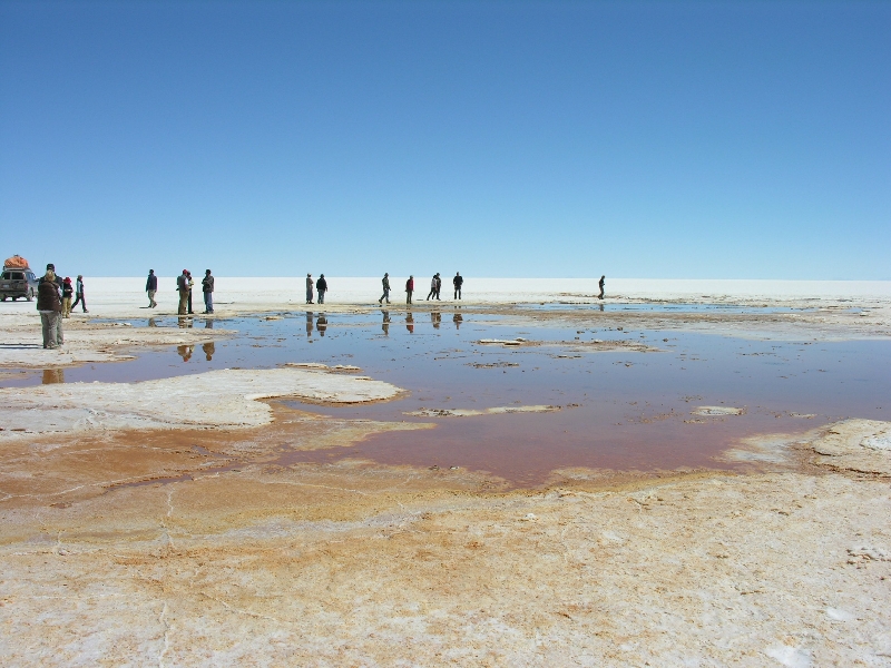475.salar