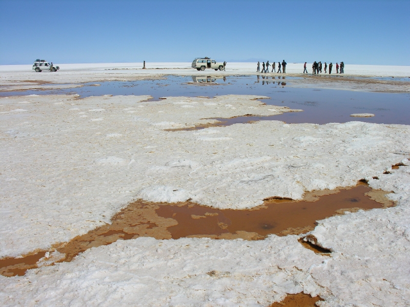 483.salar