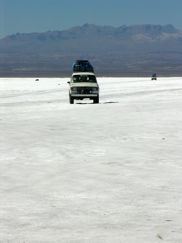 510.salar