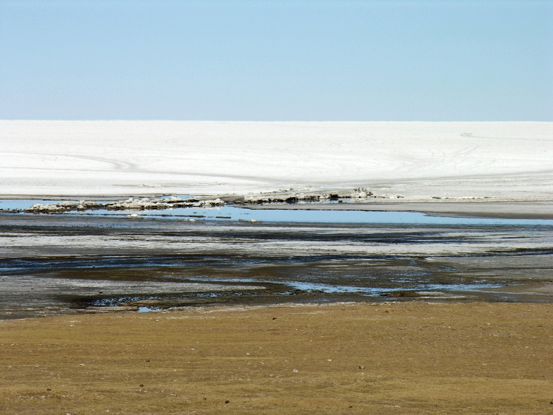 522.salar