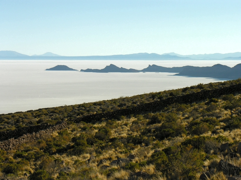 541.salar