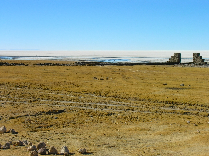 558.leaving coquesa