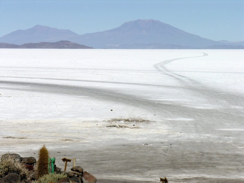 561.salar