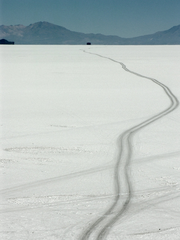 568.salar