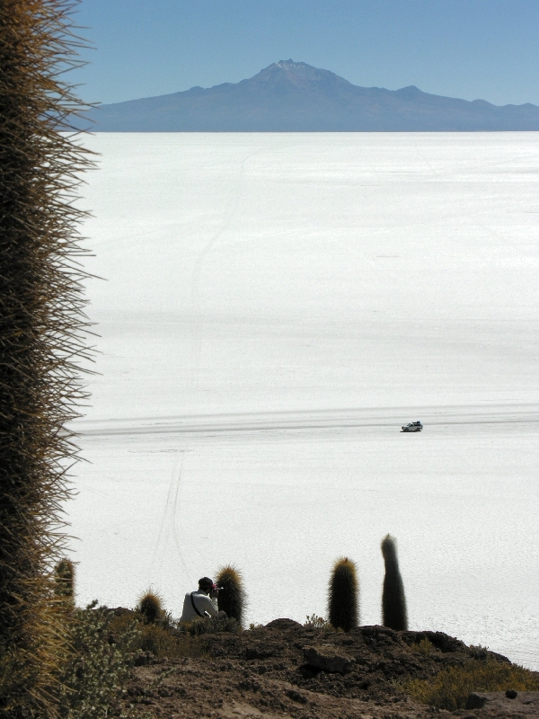 585.salar