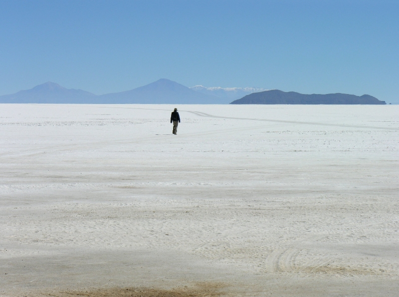 603.salar