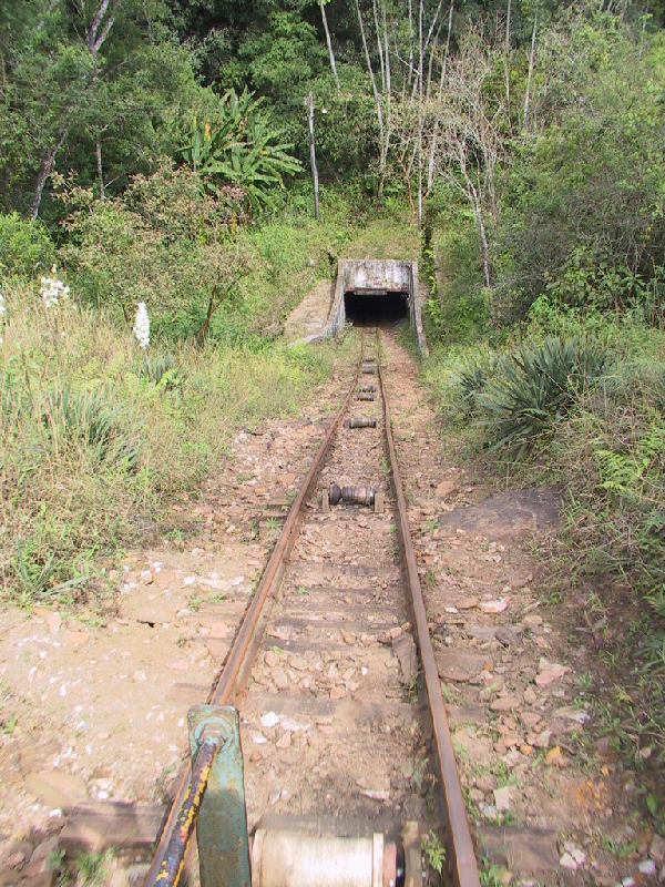 238 mine track