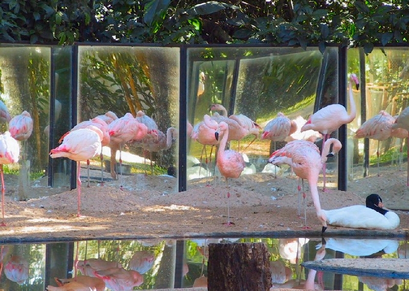 128 flamengos