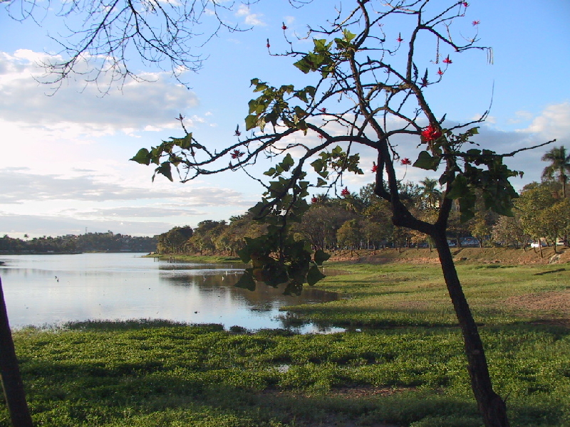 306 belohorizonte