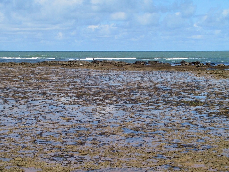 388 do forte marsh