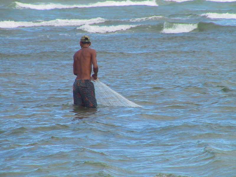 393 fisherman