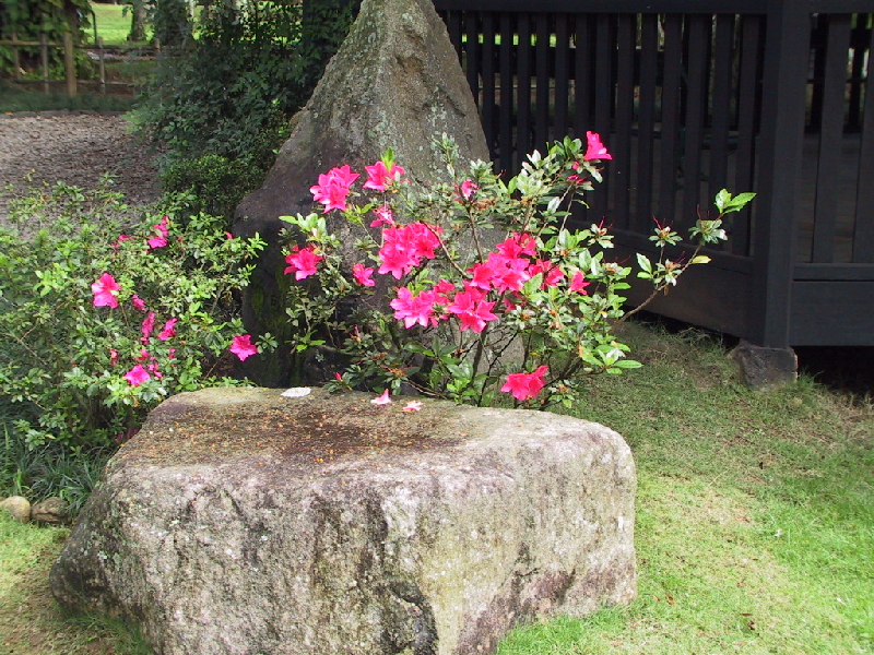 68 flowers