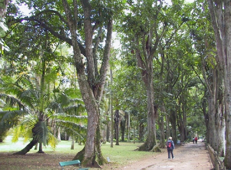 69 trees