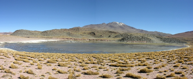 870.miscanti laguna