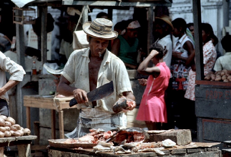 cartagena6