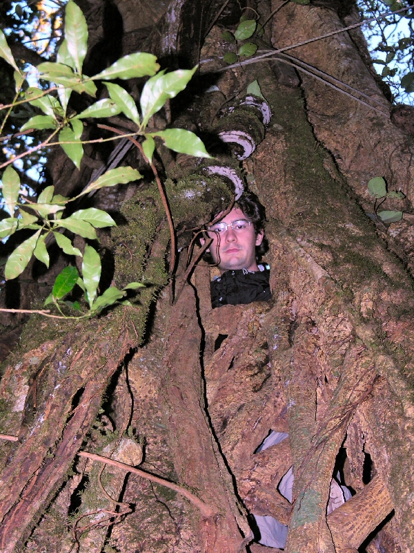 DSCN2040 monteverde