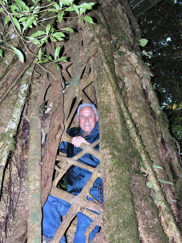 DSCN2045 monteverde