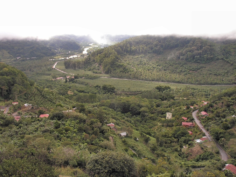 DSCN1895 orosi