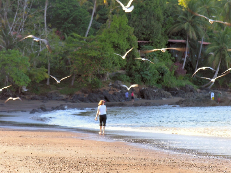 DSCN2351 bahia drake
