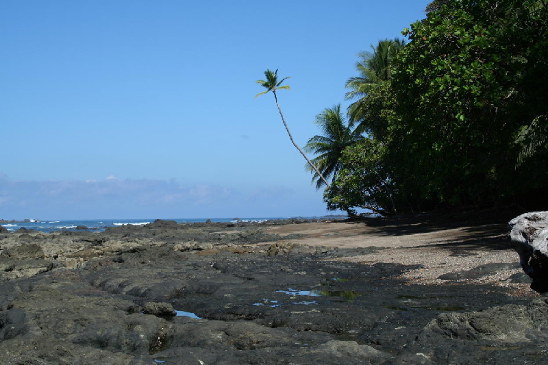 beach