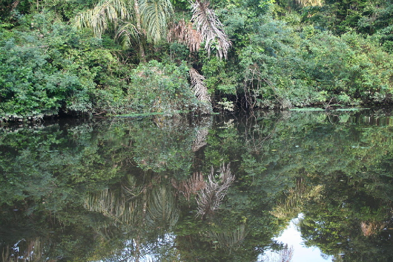 mirror