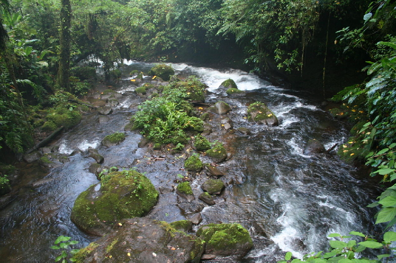 stream