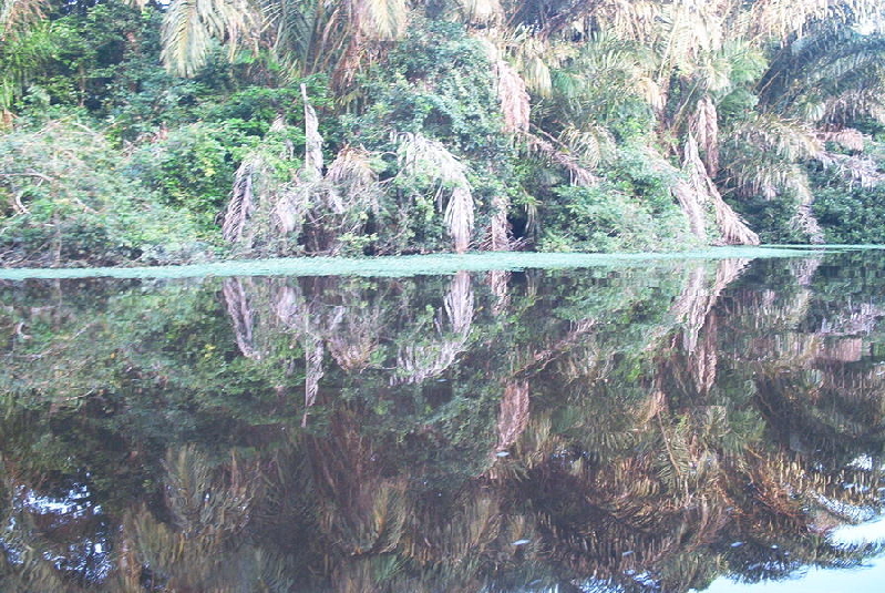 mirror