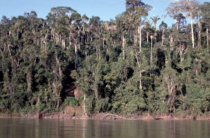 rio napo6
