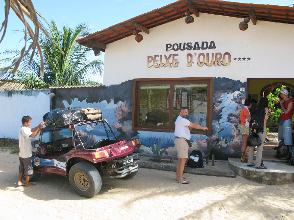 031.peixe ouro