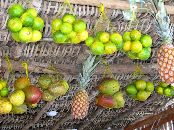 192.fruit