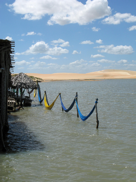 200.hammocks