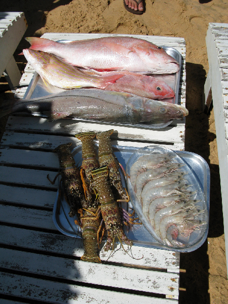 201.fish