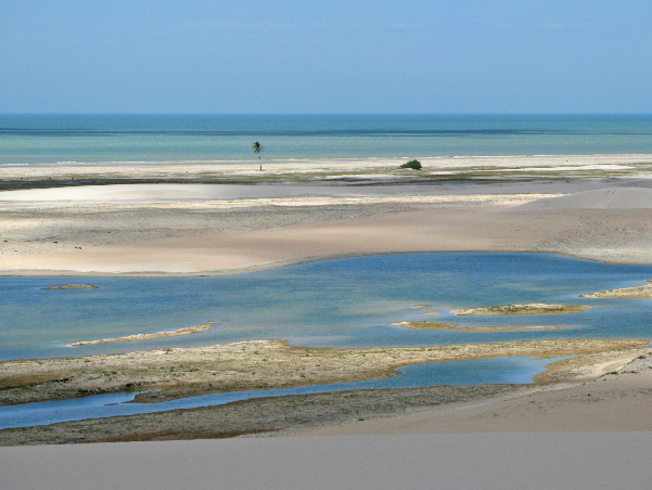224.dunes ocean