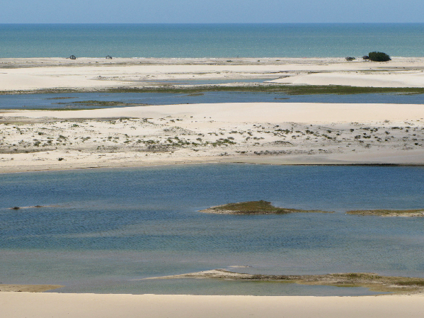 232.view