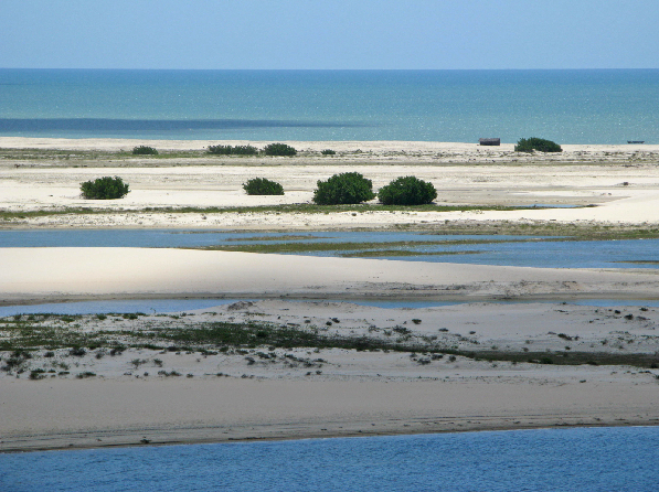 236.view