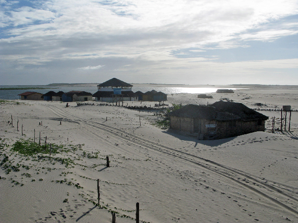 294.cabure