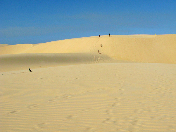 345.dunes