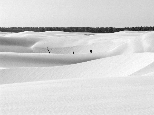 353.more dunes